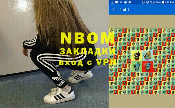 гидра Богданович