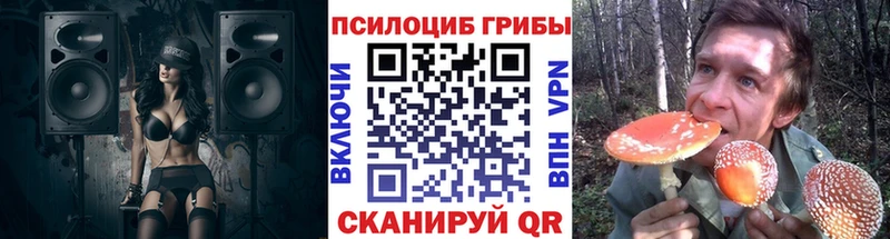 дарнет шоп  Гаврилов-Ям  Псилоцибиновые грибы Psilocybine cubensis 